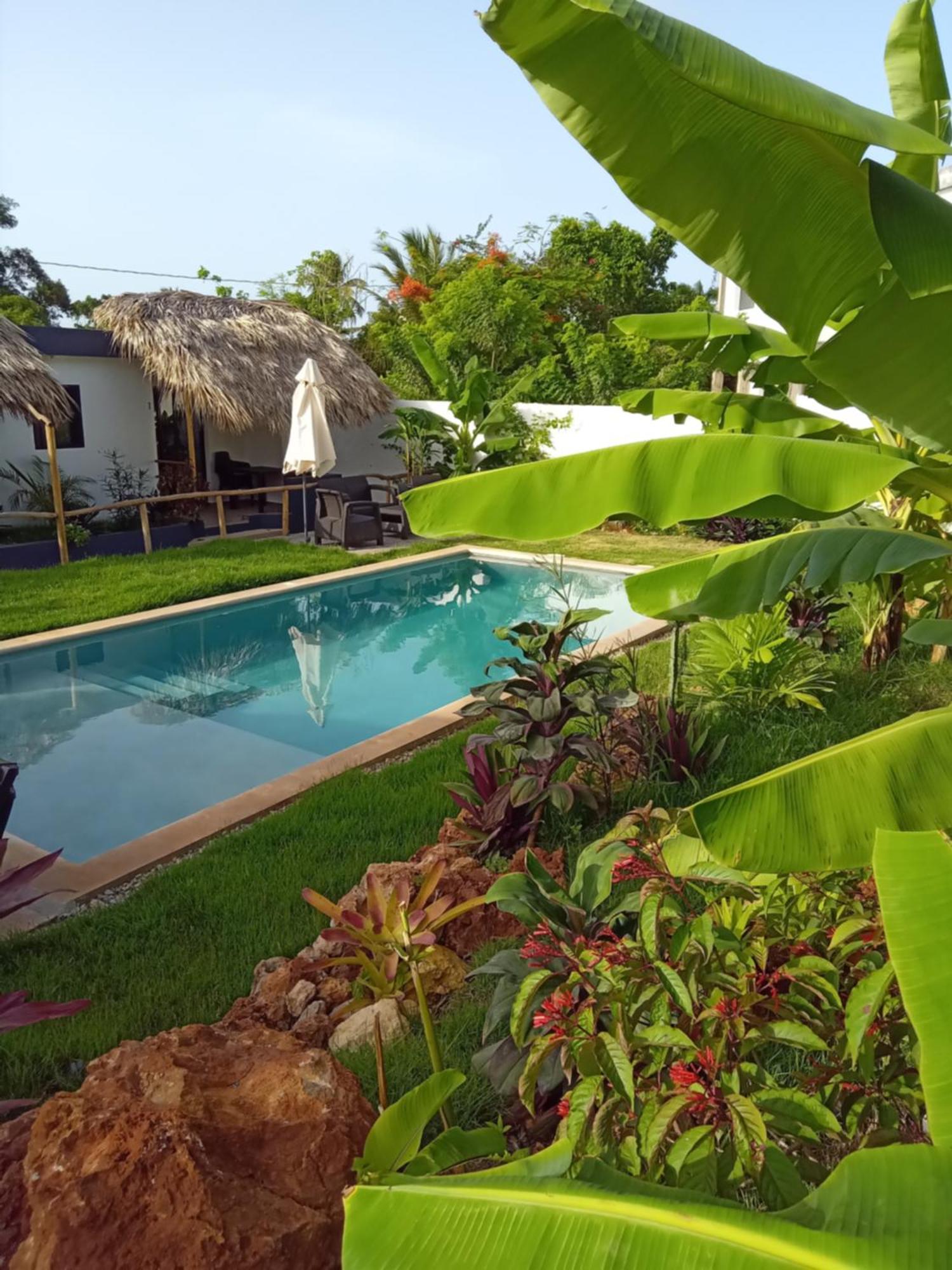 Bungalows Colibri Las Galeras Zewnętrze zdjęcie