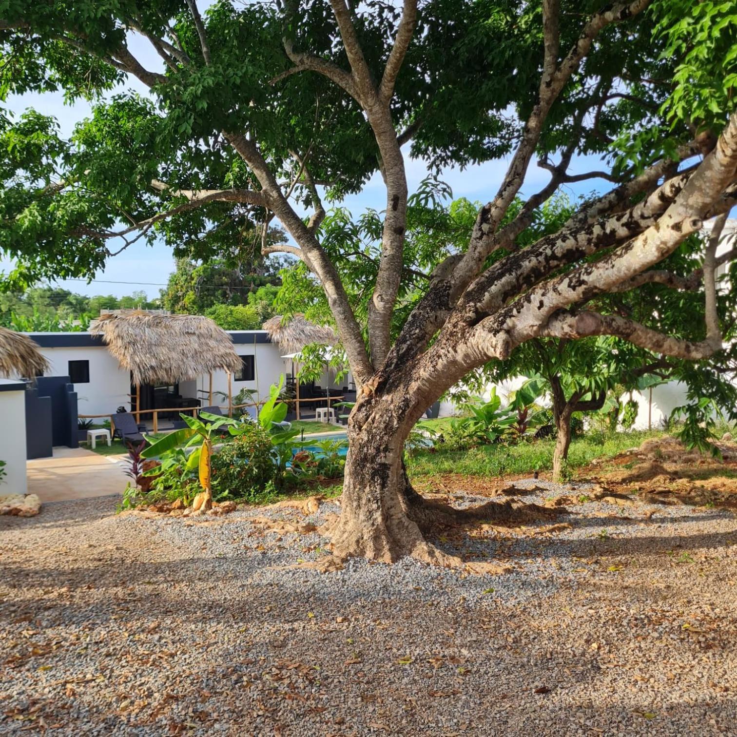 Bungalows Colibri Las Galeras Zewnętrze zdjęcie