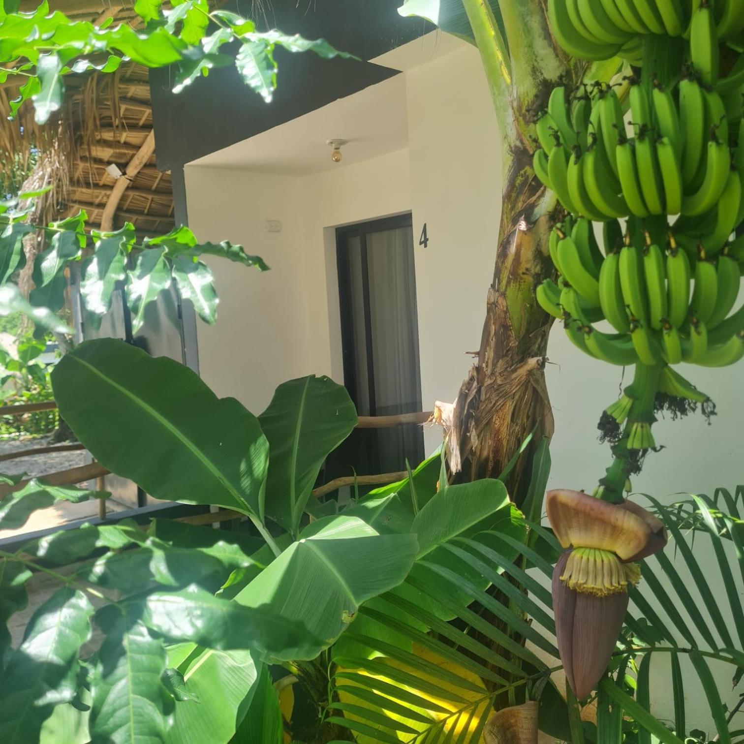 Bungalows Colibri Las Galeras Zewnętrze zdjęcie