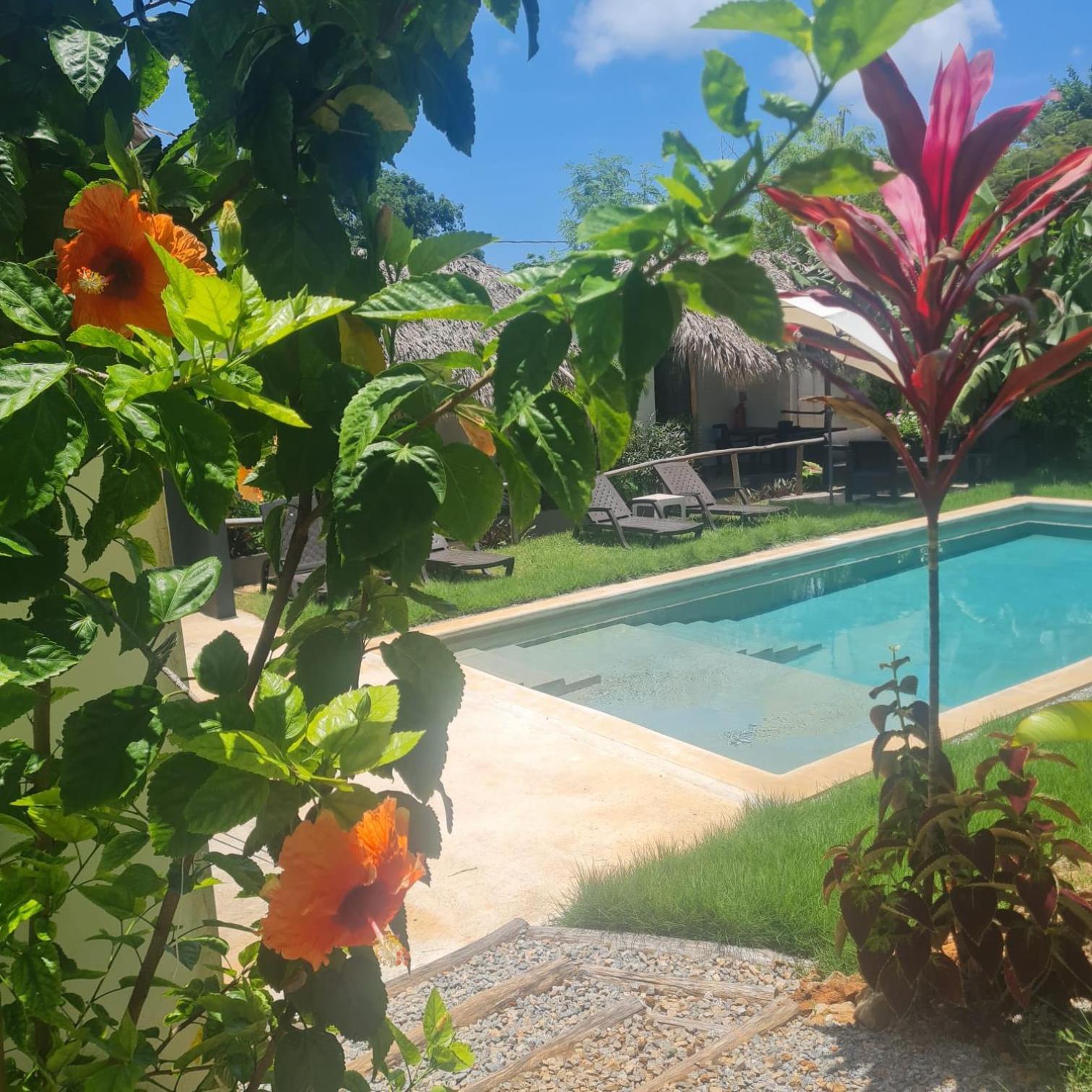 Bungalows Colibri Las Galeras Zewnętrze zdjęcie