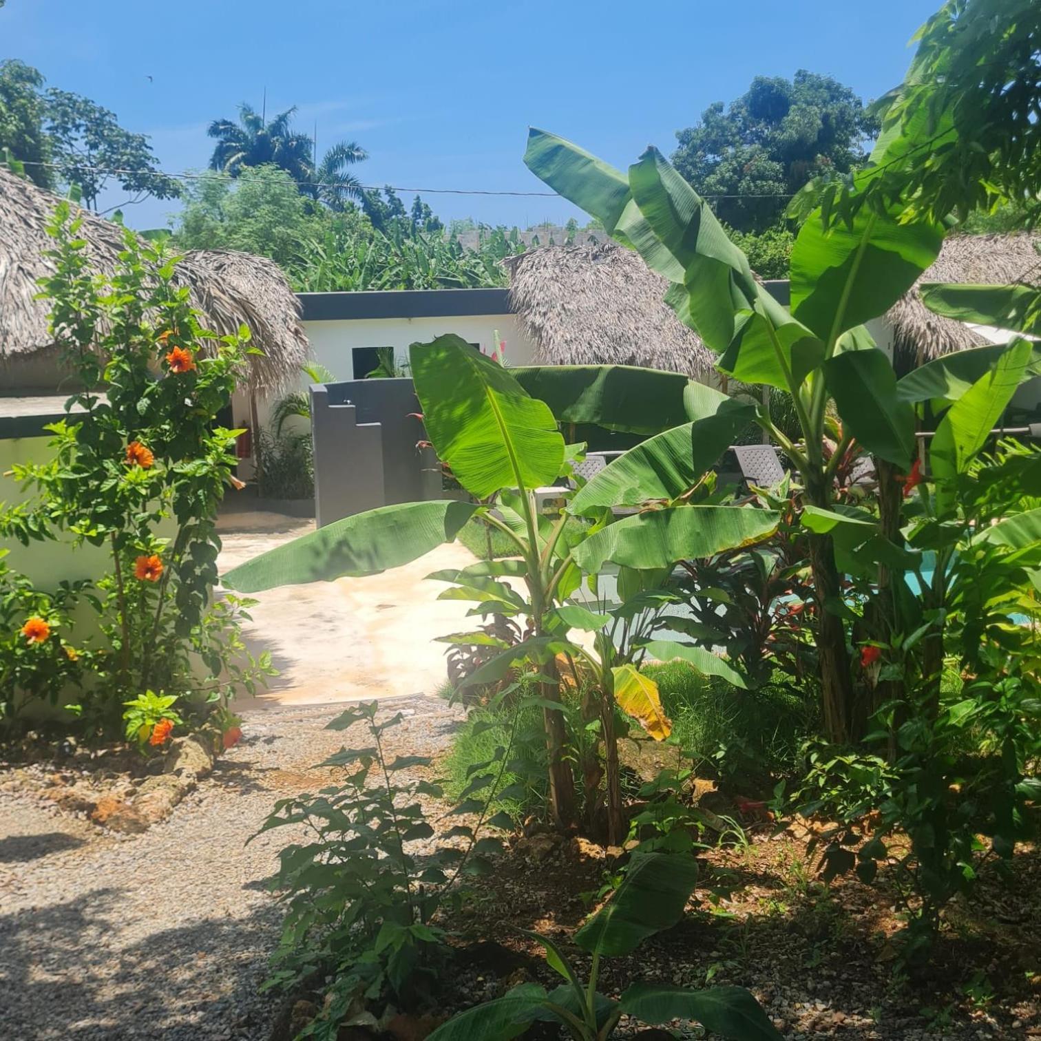 Bungalows Colibri Las Galeras Zewnętrze zdjęcie