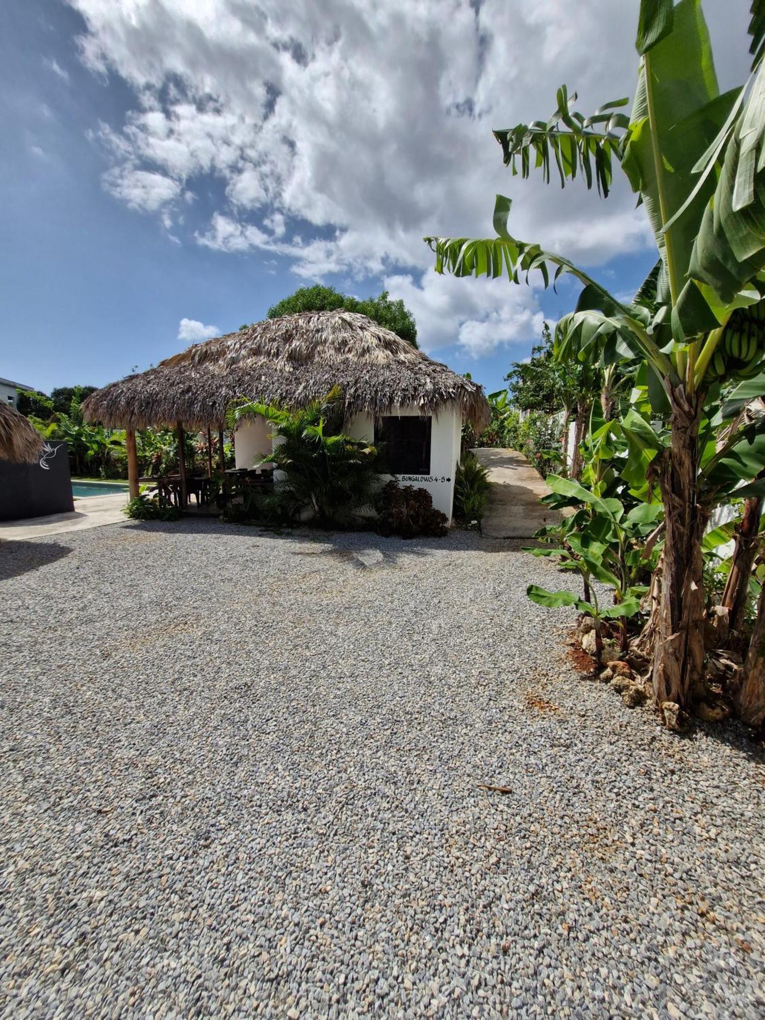 Bungalows Colibri Las Galeras Zewnętrze zdjęcie
